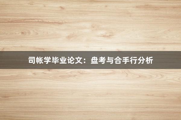 司帐学毕业论文:盘考与合手行分析